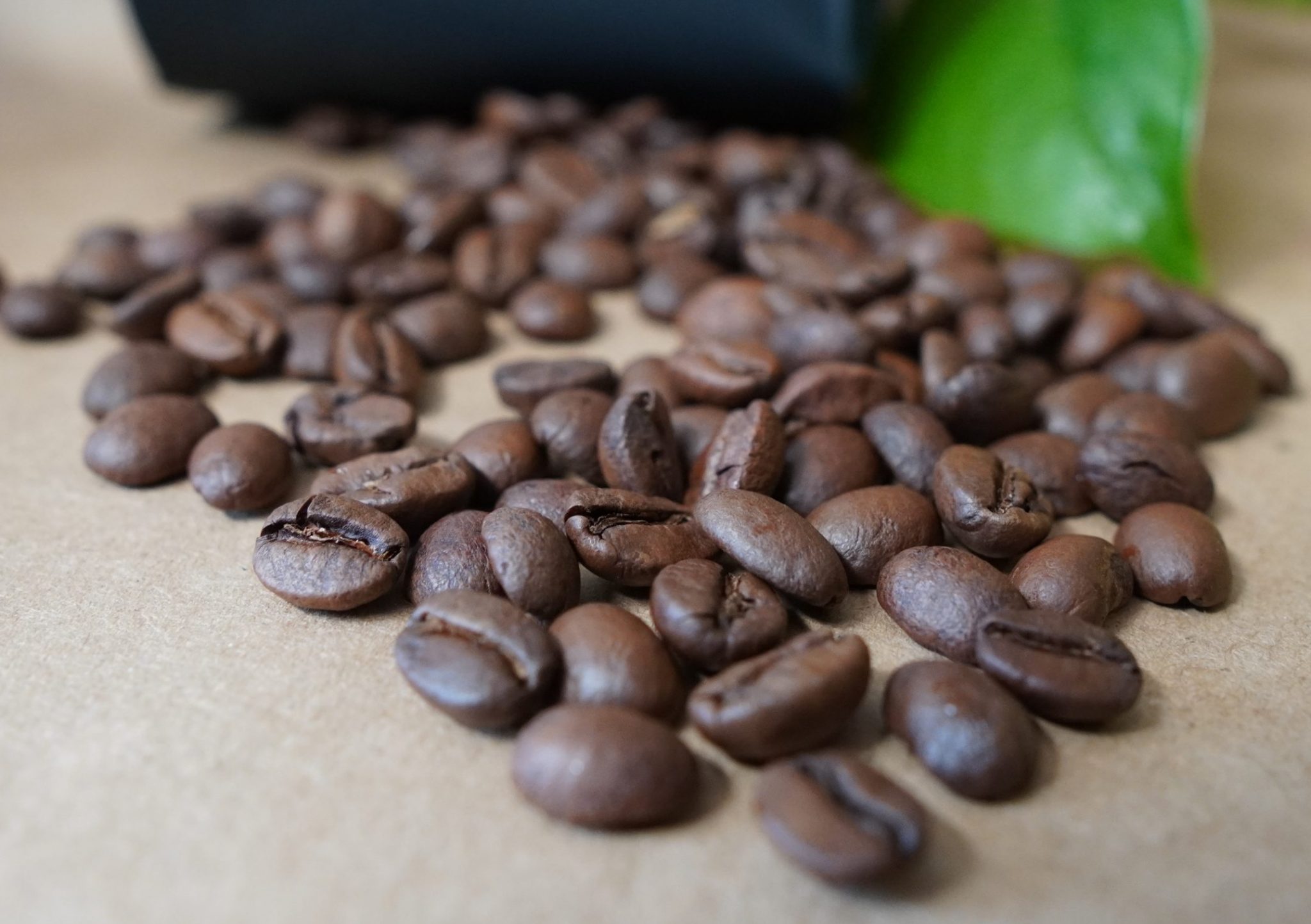 Bulk Coffee Beans (5 pound bags) Hasta Muerte Coffee